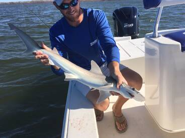 Naples Report Photo 2