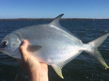 Naples Report Photo 1