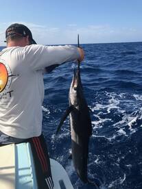 North Sound Estates Report Photo 2