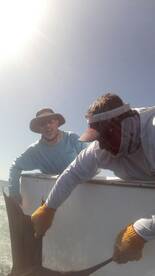 Quepos Report Photo 1