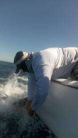 Quepos Report Photo 2