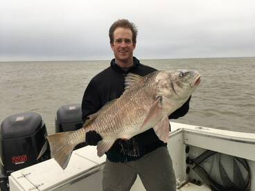 Trips from this past weekend 2-10&11 201