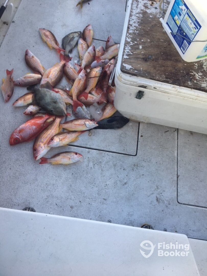 Fort Pierce Report Photo 0