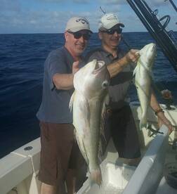 Fort Lauderdale Report Photo 2