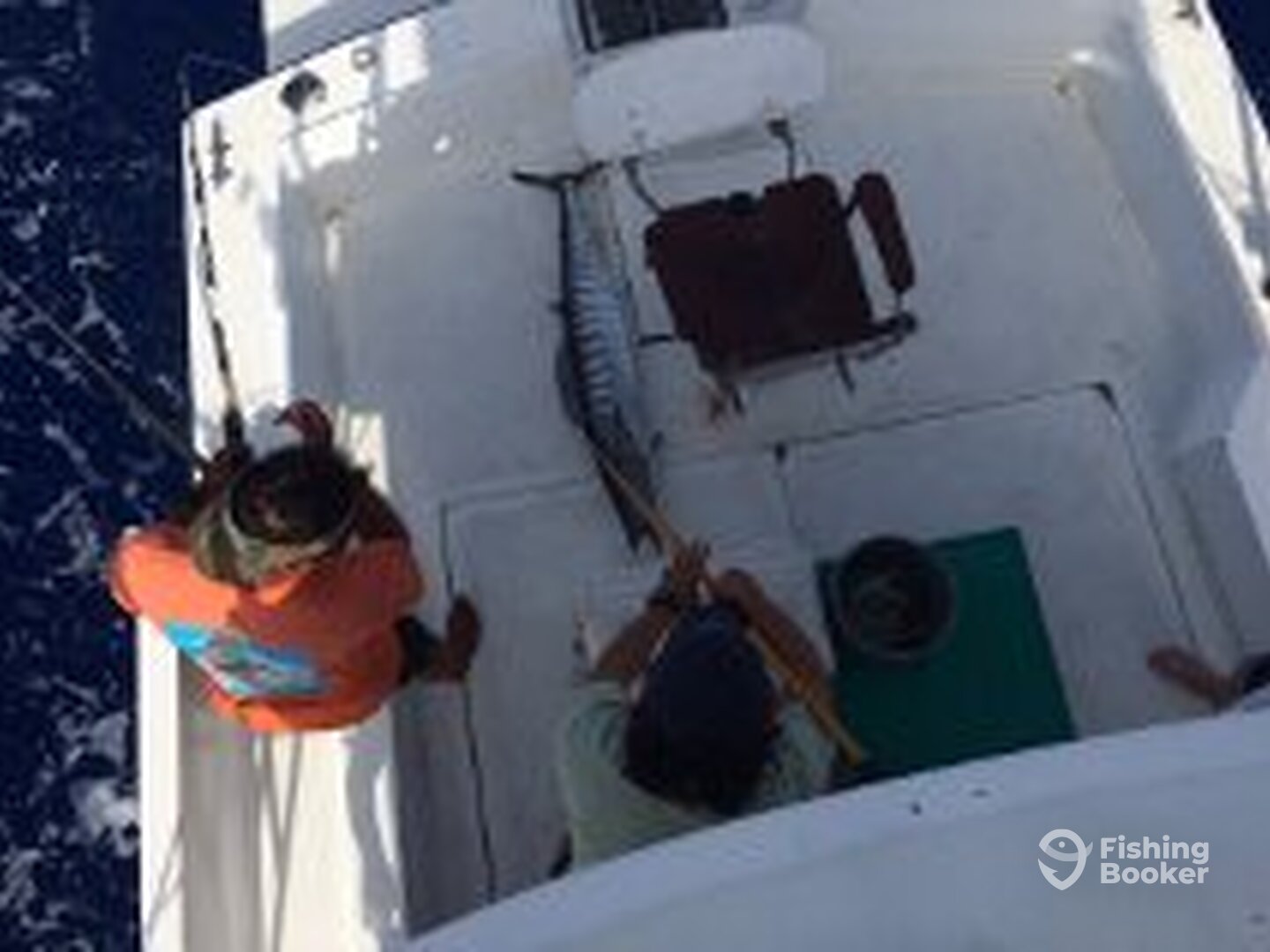 Cozumel Report Photo 0