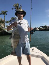 Sarasota Report Photo 2