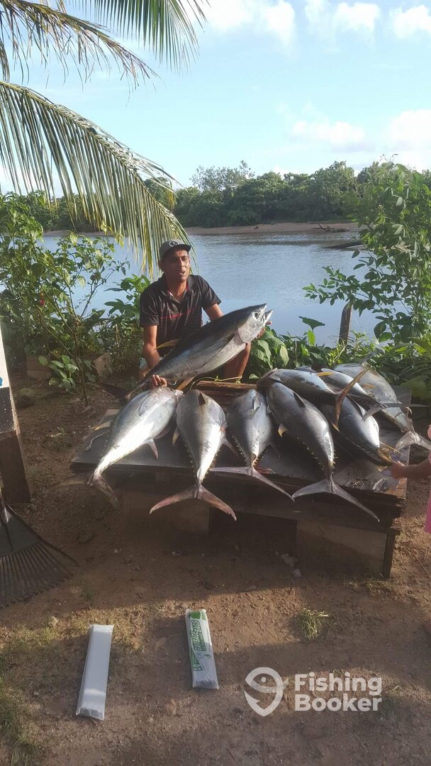 Cuvu Report Photo 0