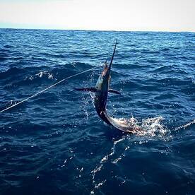 great day on the water with some old fri