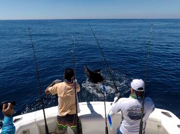 another flat calm day with good fishing 