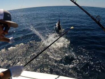 Our chef bring us good food and good luc