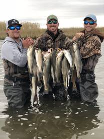 Lake Charles Report Photo 1