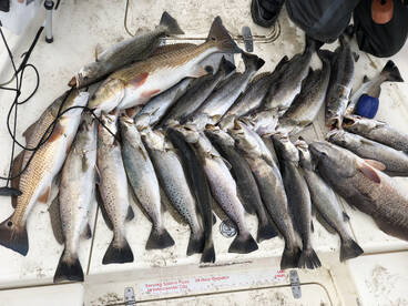 Lake Charles Report Photo 2