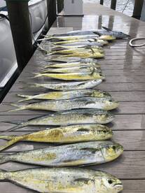 Lantana Report Photo 2