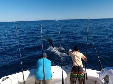 Iztapa Report Photo 3