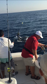 another good day in paradise !!!!