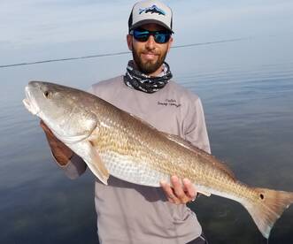 Redfish have shown up for some springtime fun.