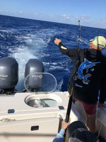 Puerto Aventuras Report Photo 2