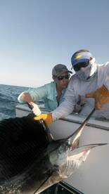 Quepos Report Photo 1