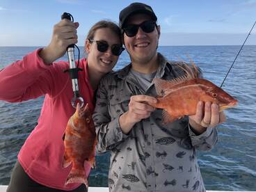 Sarasota Report Photo 2