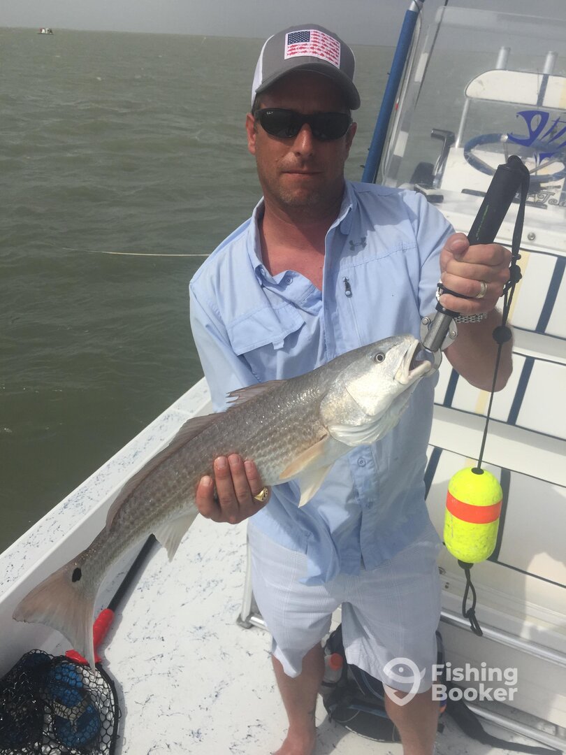 Redfish pulled the reel of the rod.
