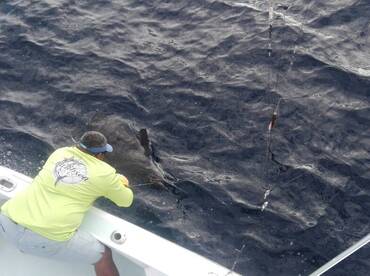 Quepos Report Photo 2