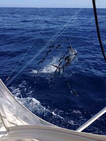 Iztapa Report Photo 1