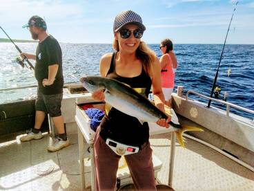 Narooma Report Photo 1