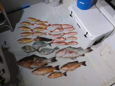 Fort Myers Report Photo 1