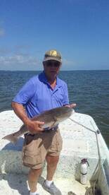 Drum, Redfish and Blues are biting in th