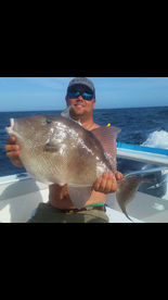 Orange Beach Report Photo 2