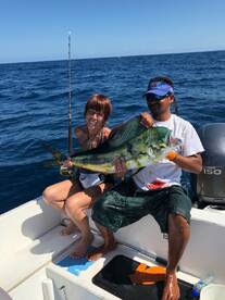 Have Mahi, Will Travel