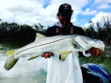 Big Snook on the chew in the back
