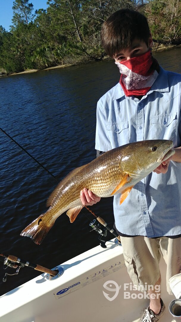 Port Orange Report Photo 0