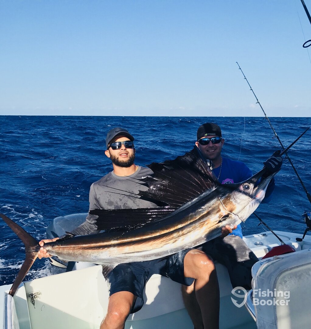 Full grown sail!!