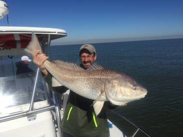 Galveston Report Photo 2