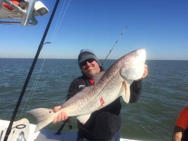 Galveston Report Photo 1