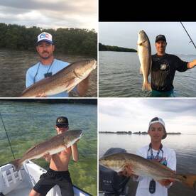 MARCH 2018 SPRING TIME IN TAMPA BAY