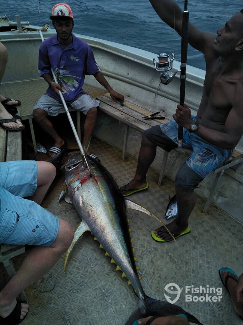 Sigatoka Report Photo 0