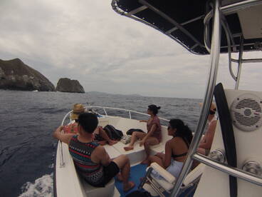Coco Report Photo 2