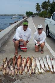 MAZATLAN FISHING - 02/05 to 03/07, 2018.