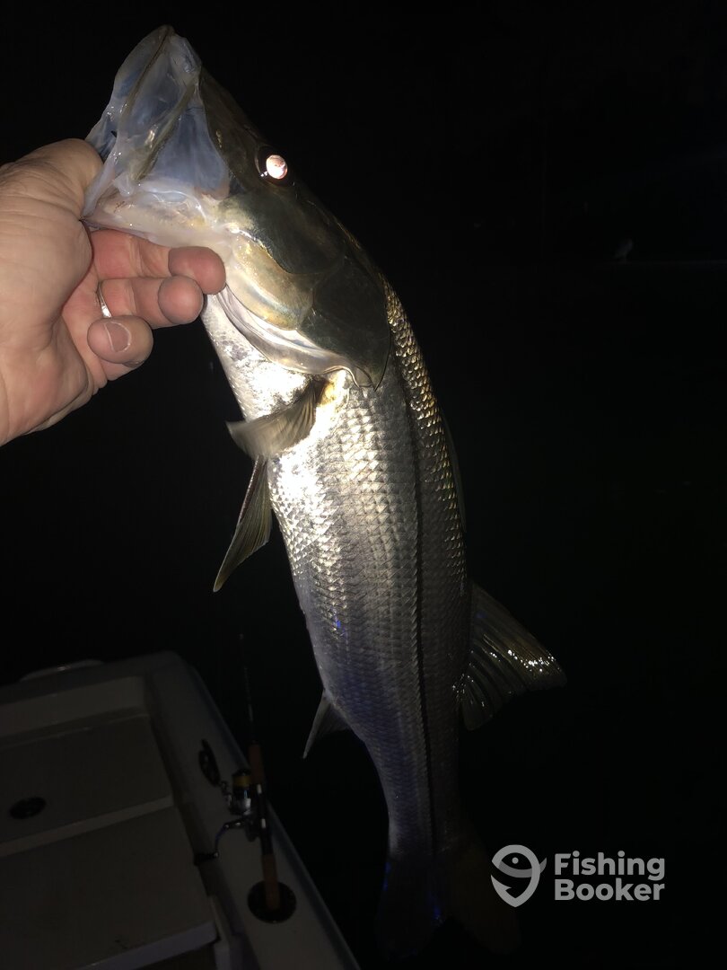 Nokomis Report Photo 0