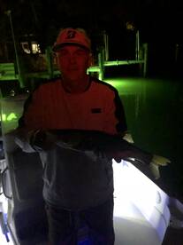 Nokomis Report Photo 1