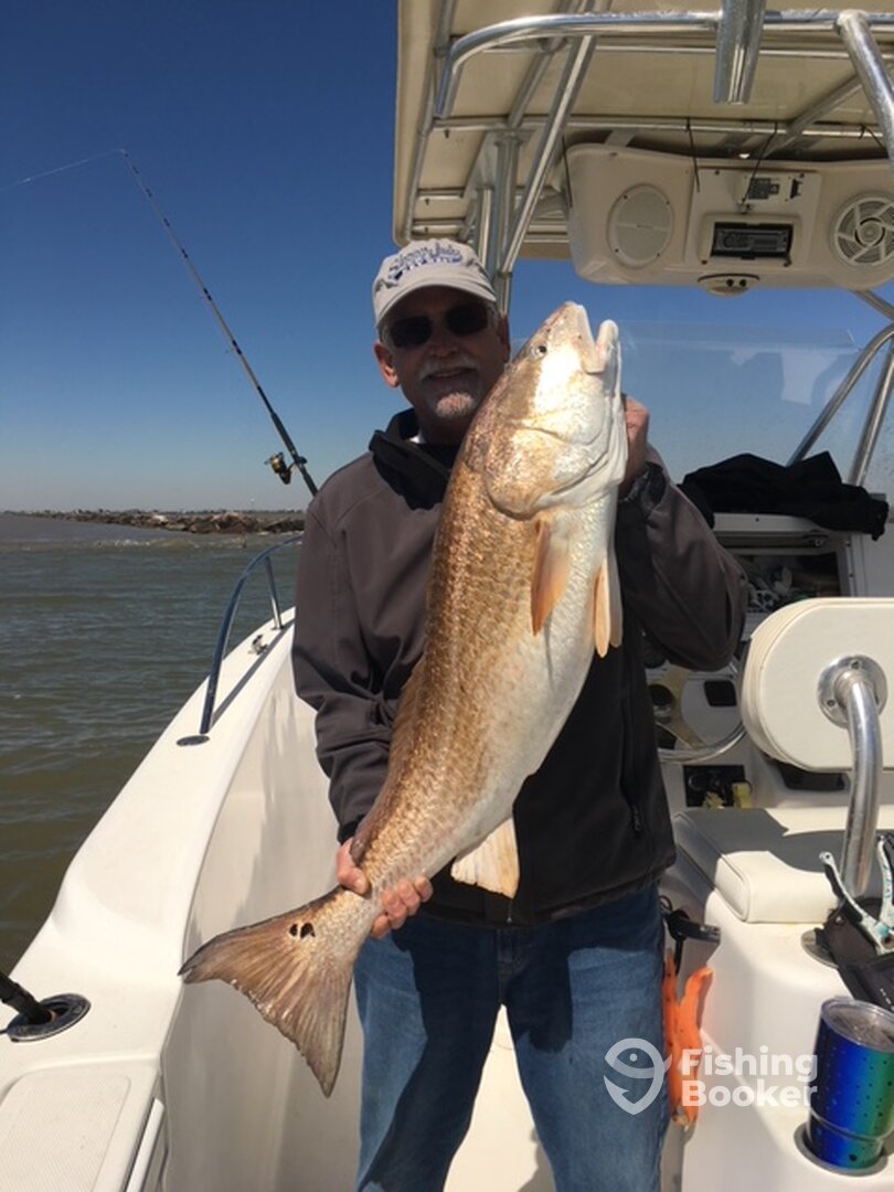 Galveston Report Photo 0