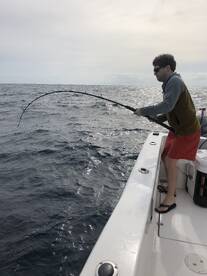 Orange Beach Report Photo 1