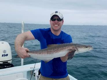 Great variety catching time of year. 