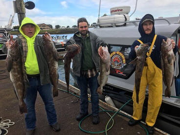 Coos Bay Report Photo 2