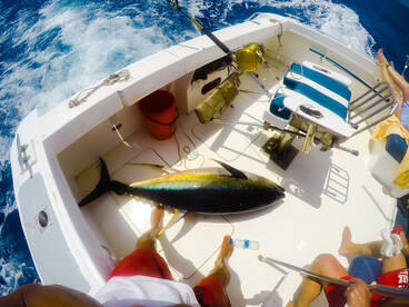 Le Morne Report Photo 2
