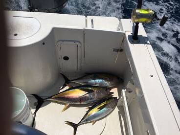 Herradura Report Photo 2