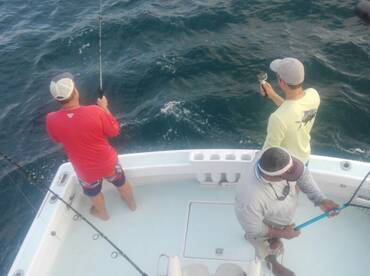 Quepos Report Photo 2