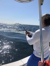 Orange Beach Report Photo 2